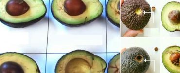 beneficiile avocado