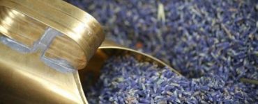 ceai lavanda
