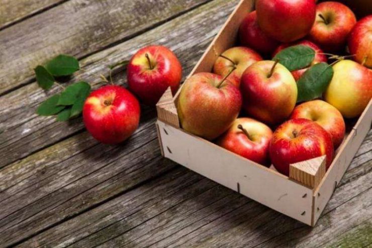 fructe iarna