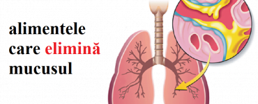 alimente mucus