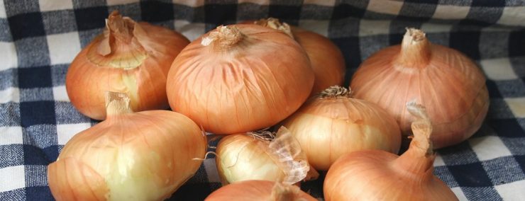 ceapa efecte vindecatoare