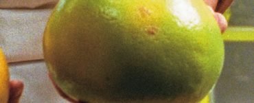 fruct citric