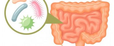 microbiomul intestinal si boala hepatica grasa non alcoolica