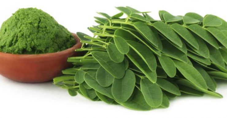 moringa
