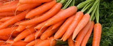 produse alcal