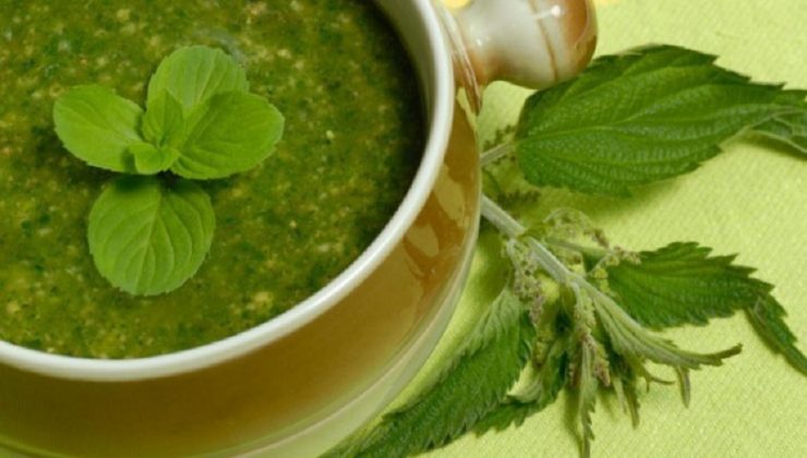 ciorba urzica