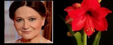 flori ghinion