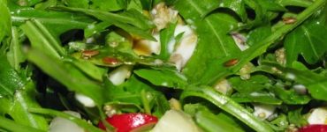 salata papadie