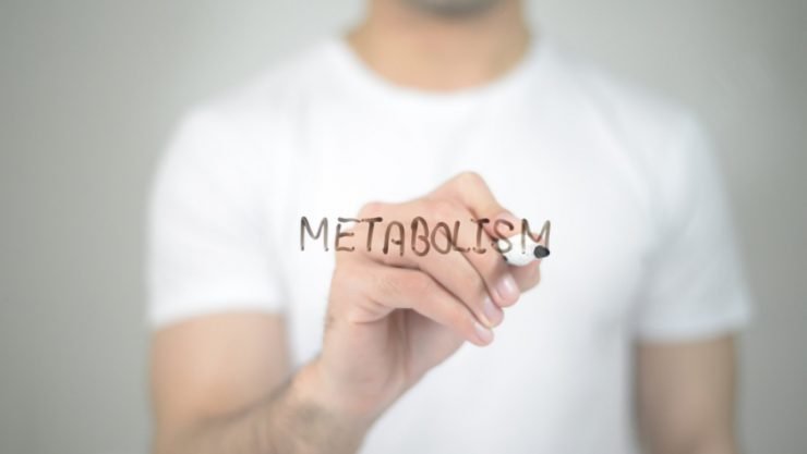 tip metabolism