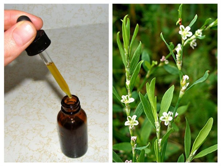 tinctura siliciu