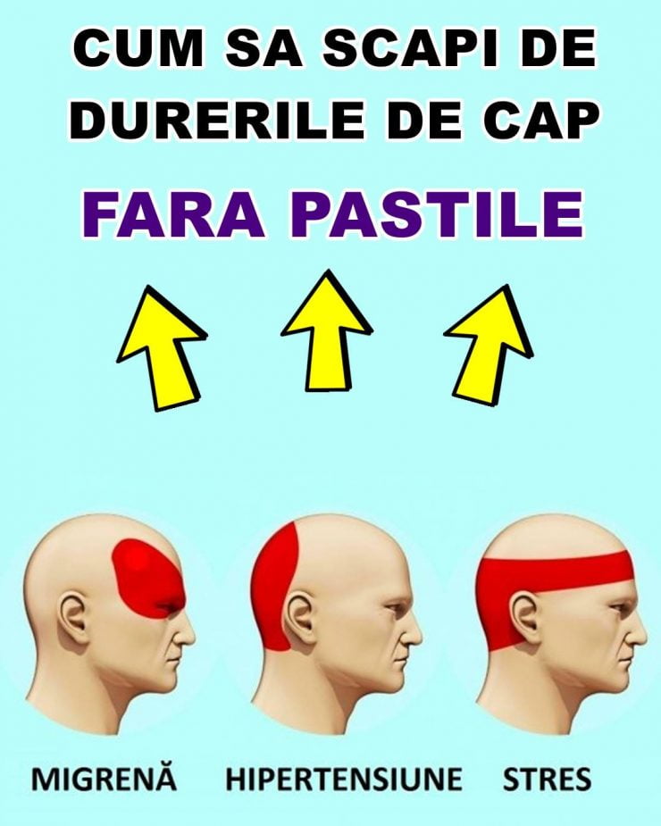 61427387 355676991751194 5273721460072906752 o