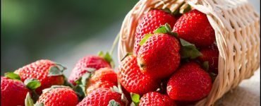 A small basket full of strawberries in natural background