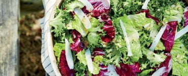 bitter greens salad with lemon and pecorino 2489901 texas 936