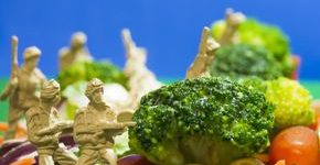 dieta militara