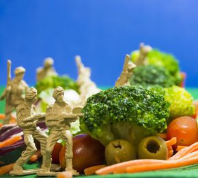 dieta militara