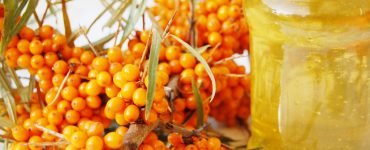 sea buckthorn berry 1024x681