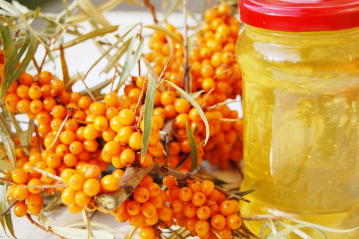 sea buckthorn berry 1024x681