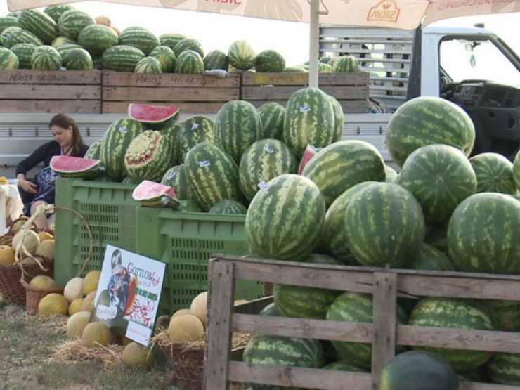735815 1529300352 taranii din dabuleni vor vinde pepeni in suedia