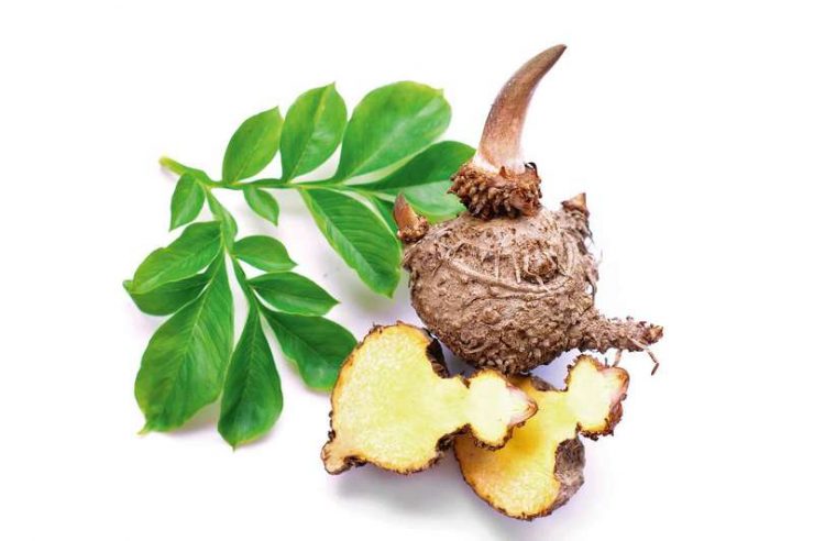 istock 503628665 kopie239775 m n