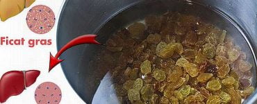 ficat gras alimente