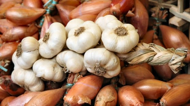 garlic and onions 89857900