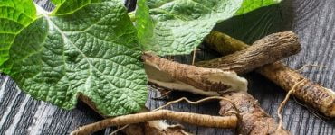 lemn dulce remedii naturale care intaresc plamanii