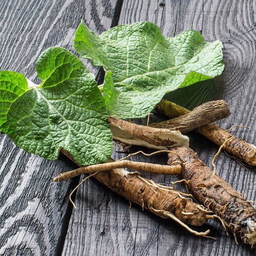 lemn dulce remedii naturale care intaresc plamanii