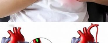 69868873 2619823721433113 4181209808650633216 n