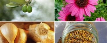 antibiotice naturale