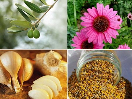antibiotice naturale