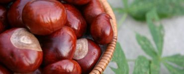 castane 700x467