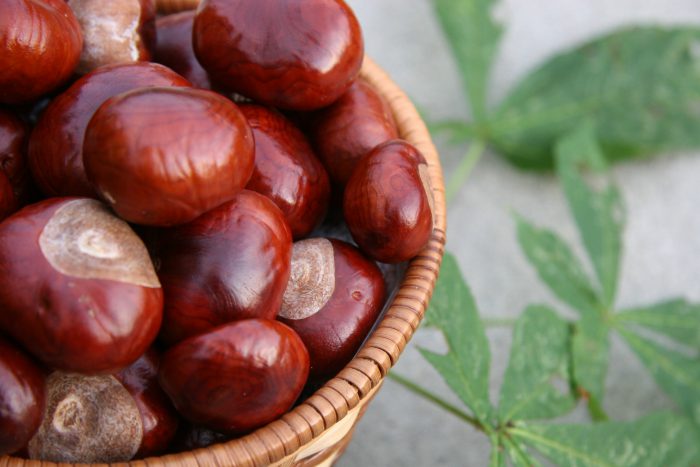 castane