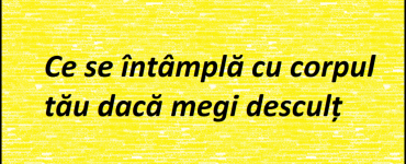 titlu 1