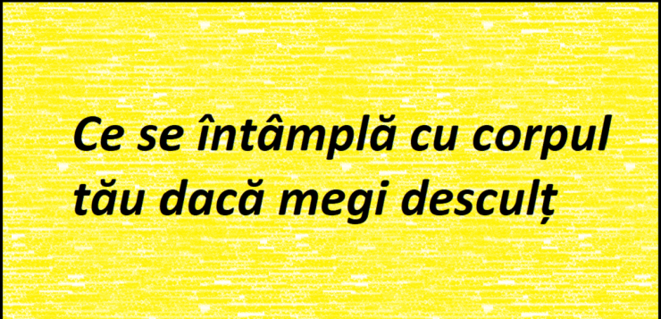 titlu 1