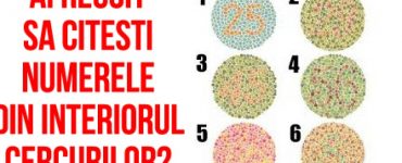 test online 1024x1024