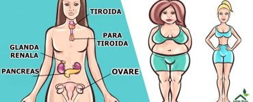 top 8 herbs to balance your hormones naturally