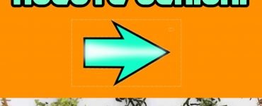 100 1