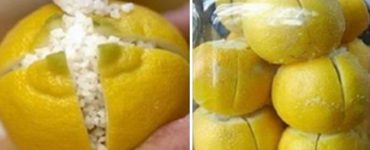lămâie lămâiță