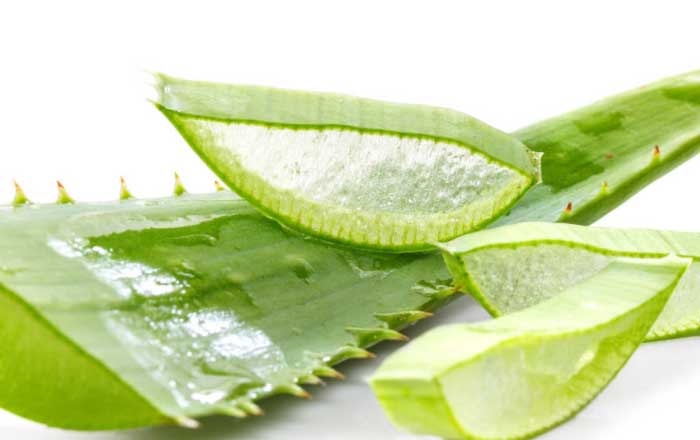 aloe vera