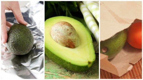 coace un avocado