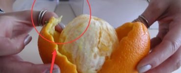 portocala