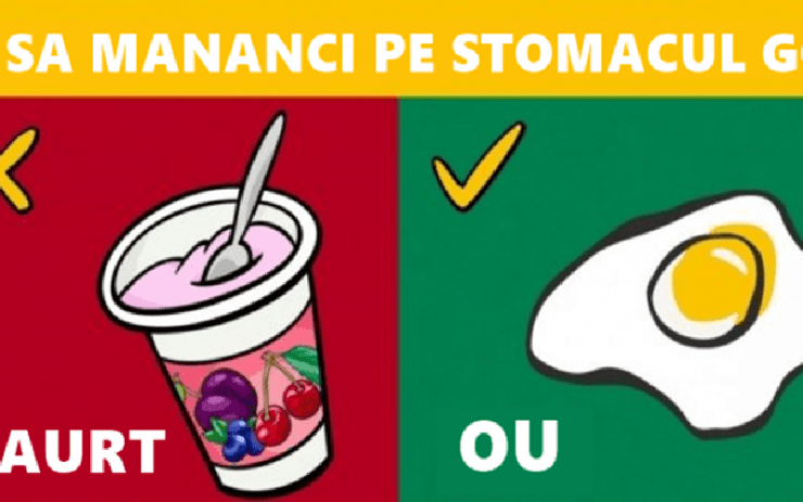 stomacgol 800x500 1