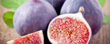 Alimente care contribuie la intarirea sistemului osos Asa combati osteoporoza