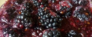 Sirop de mure 1