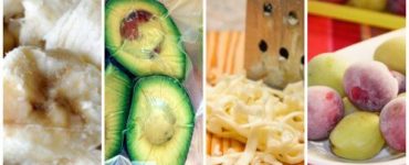 alimente congelate