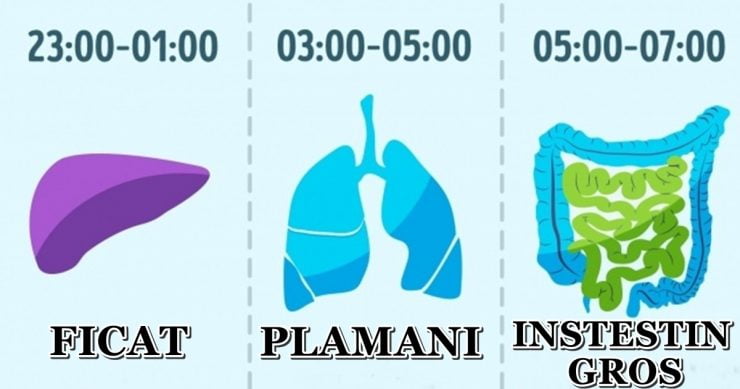 cum sa traiesti