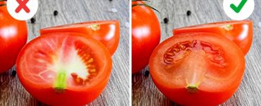 pesticide