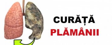 plamani