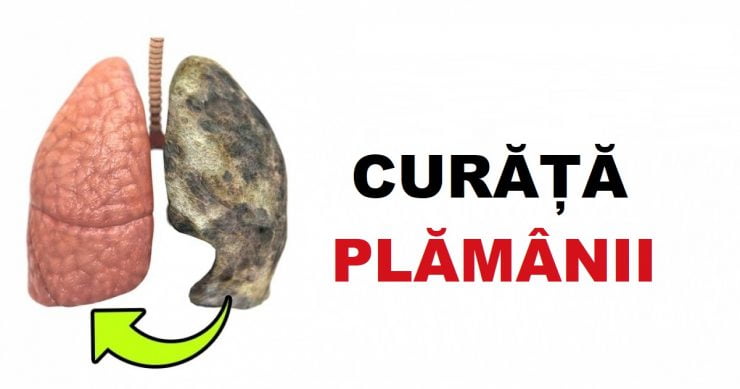plamani