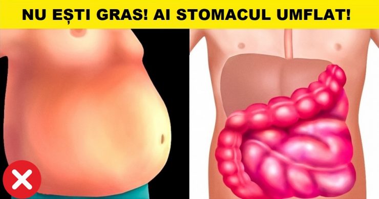 stomacul